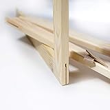 Generisch Keilrahmen Bausatz 2 cm Holzleisten Set selbst zusammenbauen ohne Leinwand (30 x 80)